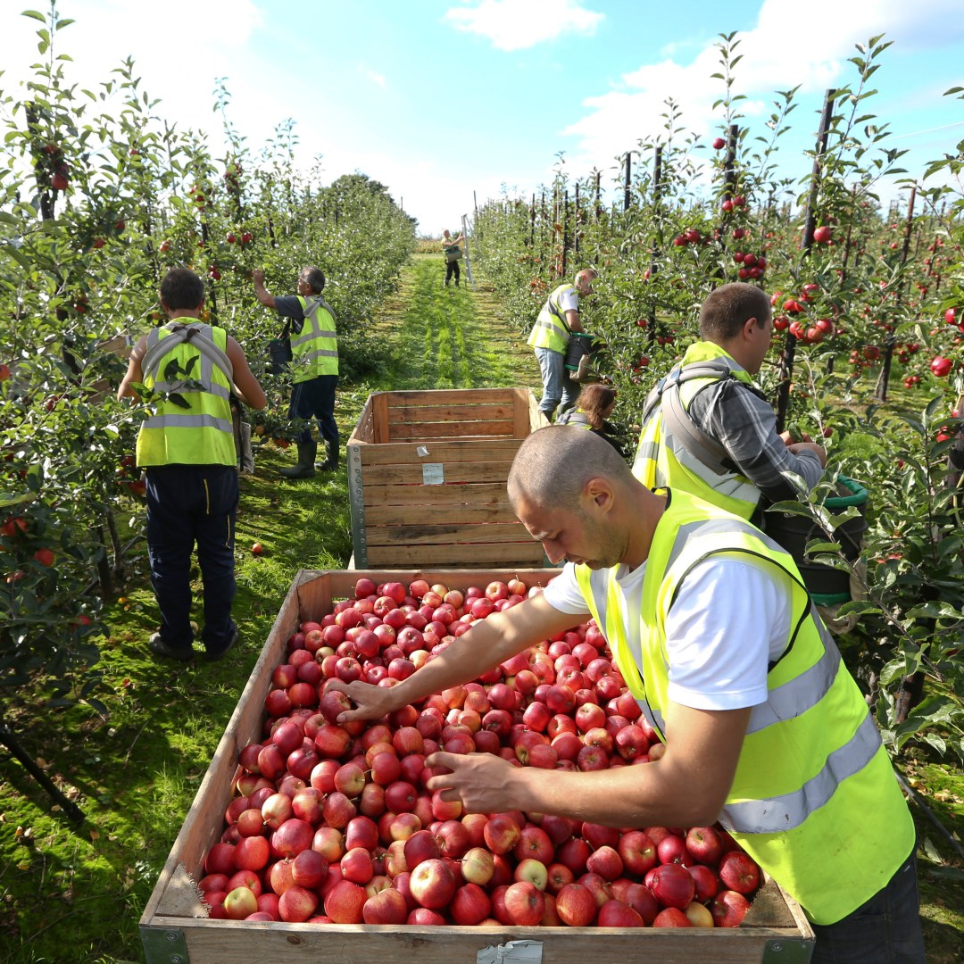 WhatsApp Image 2025-11-05 at 09.01.07_153b6b11