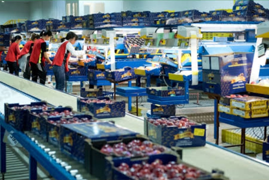 WhatsApp Image 2025-11-05 at 09.01.11_6ca125d2