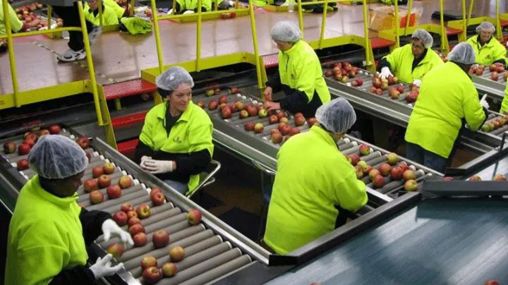 WhatsApp Image 2025-11-05 at 09.01.11_7f464d8b