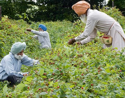 WhatsApp Image 2025-11-05 at 09.01.12_f6980fd3