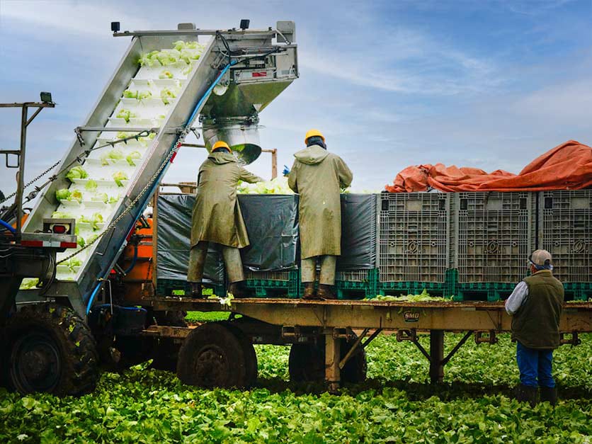 WhatsApp Image 2025-11-05 at 09.01.13_a884d6a7