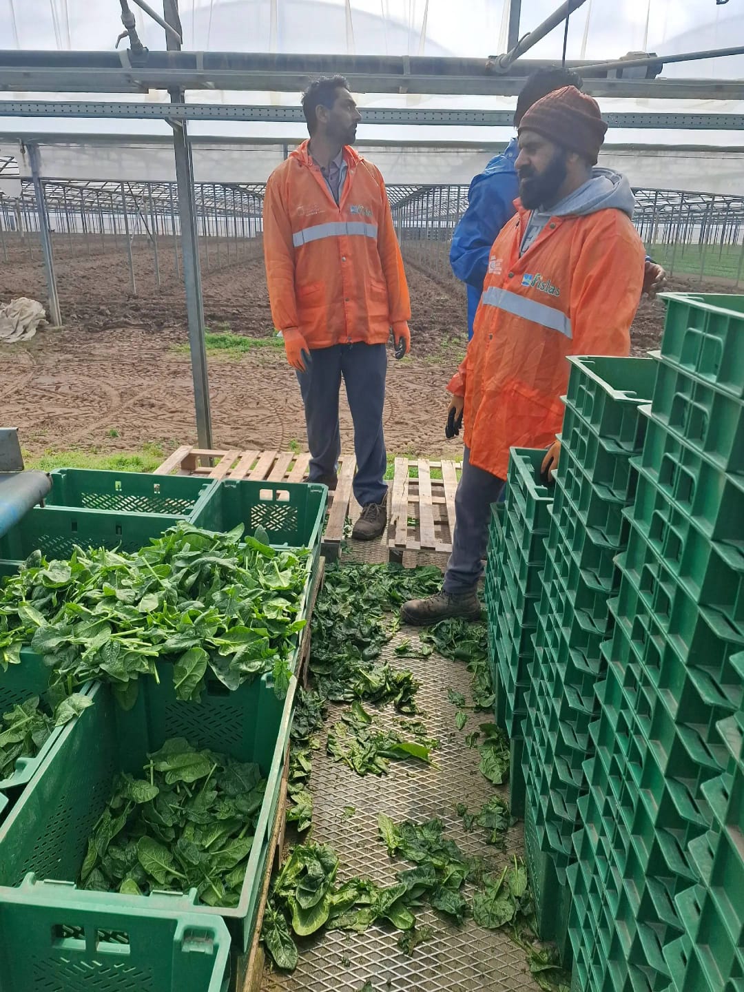 WhatsApp Image 2025-11-05 at 09.12.56_21abb88f